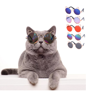 Cat Cute Sunglasses Dog Teddy Sunglasses Blue